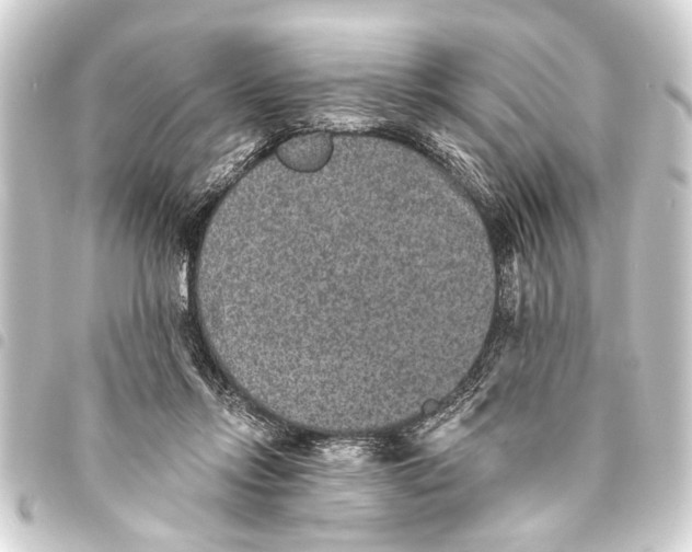 X0000093450358200711021119