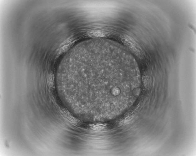 X0000093450359200711021119