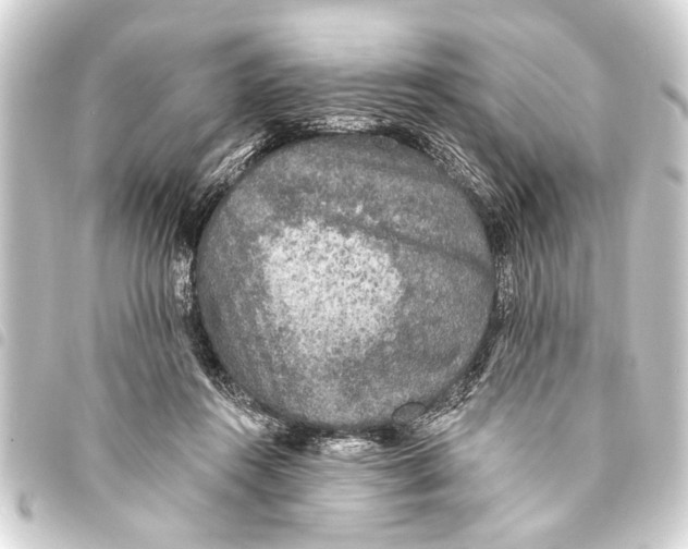 X0000093450360200711021119