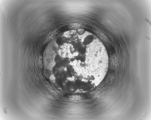 X0000093450361200711021119