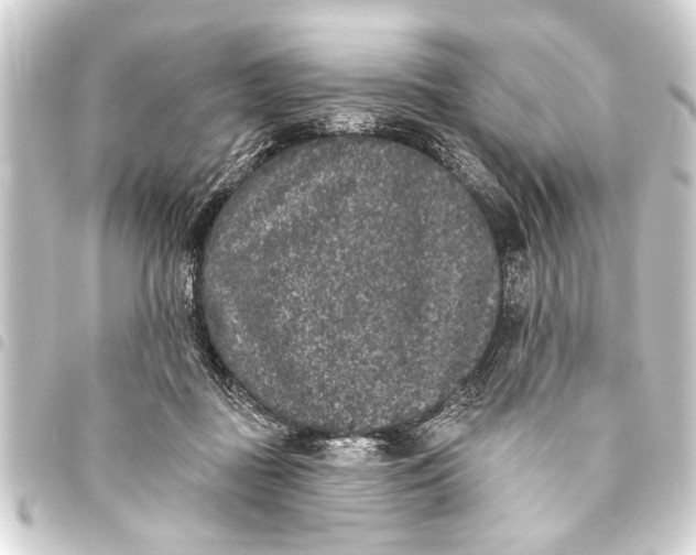 X0000093450363200711021119