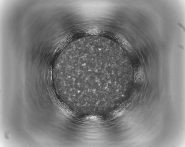 X0000093450365200711021119