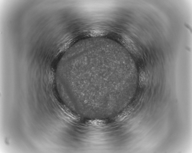 X0000093450367200711021119