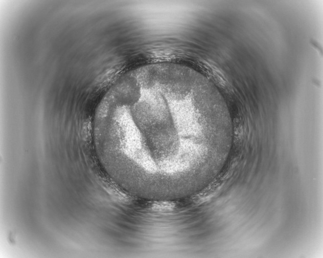 X0000093450369200711021119