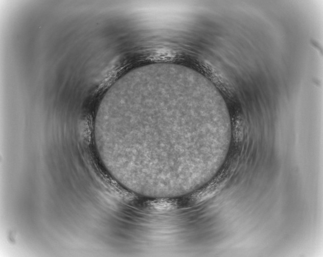 X0000093450370200711021119