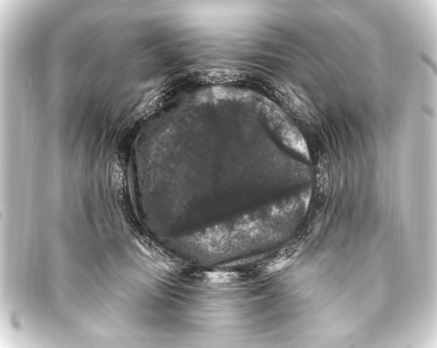 X0000093450371200711021119