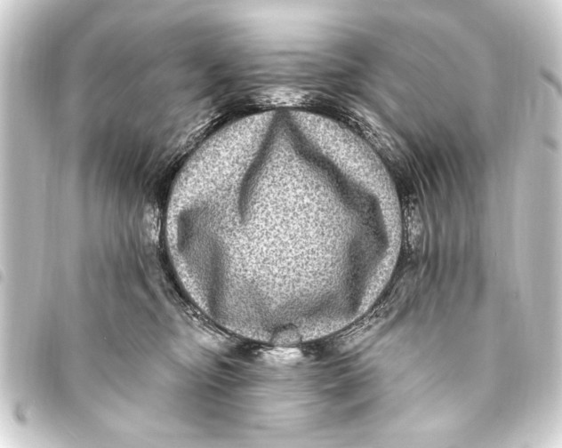 X0000093450374200711021119