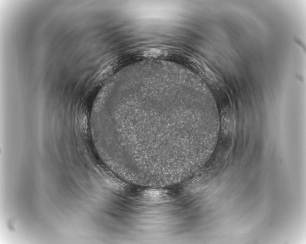 X0000093450375200711021119