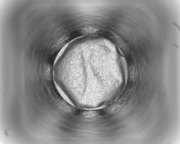 X0000093450378200711021119