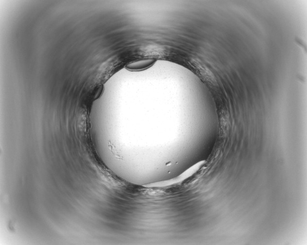 X0000093450379200711021119