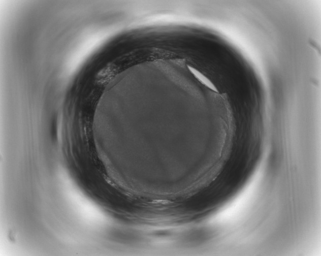 X0000093450382200711021119