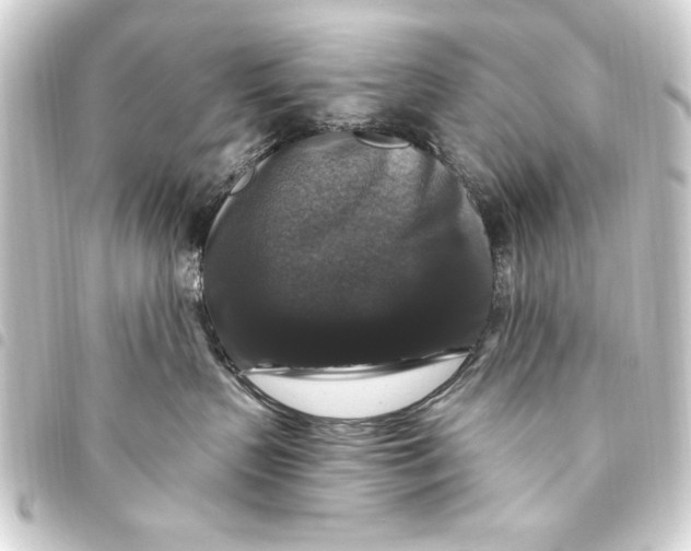 X0000093450383200711021119