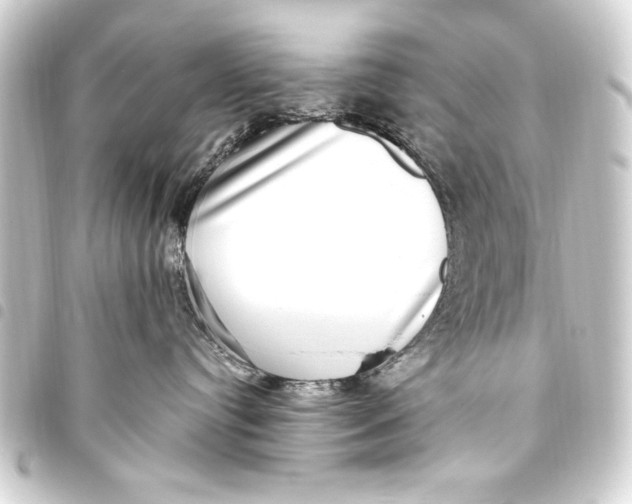 X0000093450384200711021119