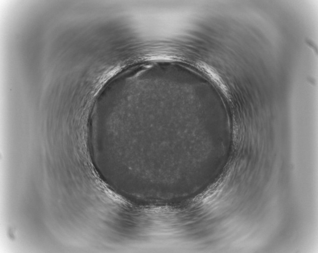 X0000093450385200711021118