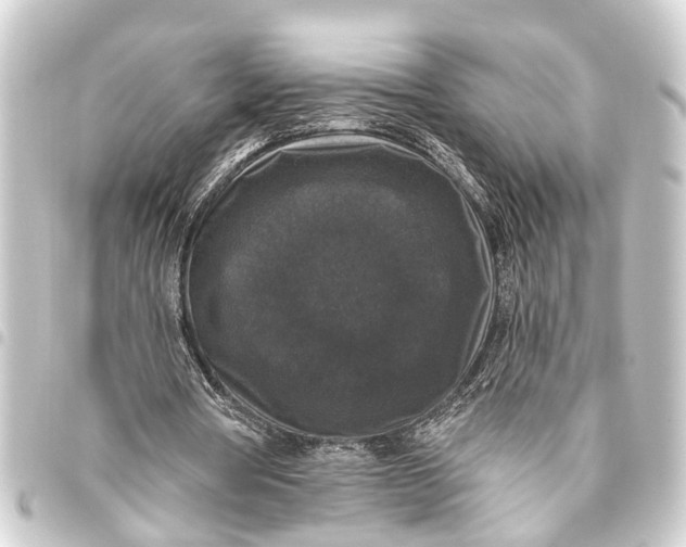 X0000093450386200711021118