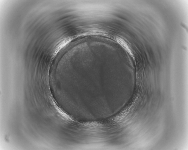 X0000093450389200711021118