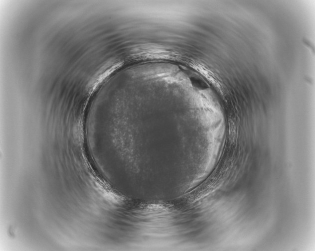 X0000093450390200711021118