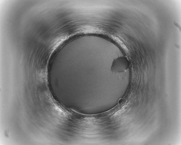 X0000093450391200711021118