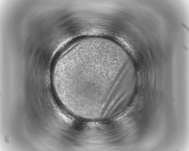 X0000093450392200711021118