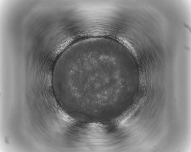 X0000093450393200711021118