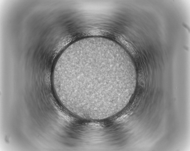 X0000093450394200711021118