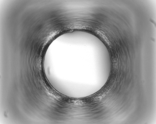 X0000093450395200711021118