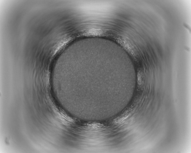 X0000093450396200711021118