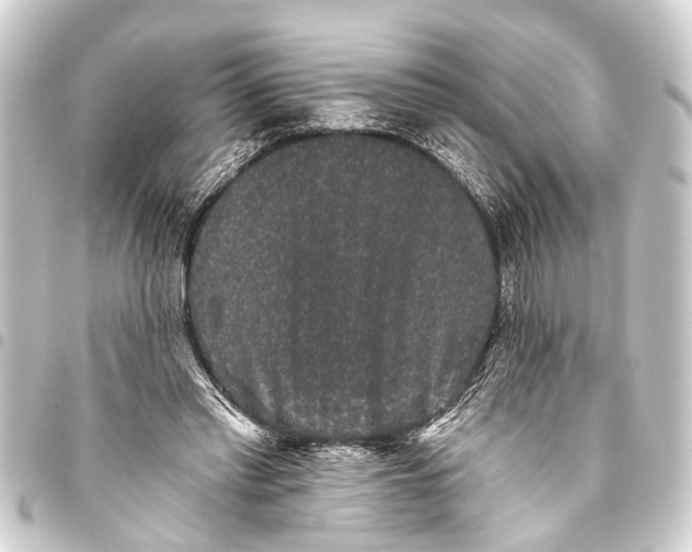 X0000093450397200711021118