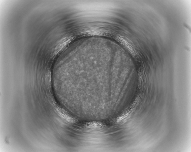 X0000093450398200711021118