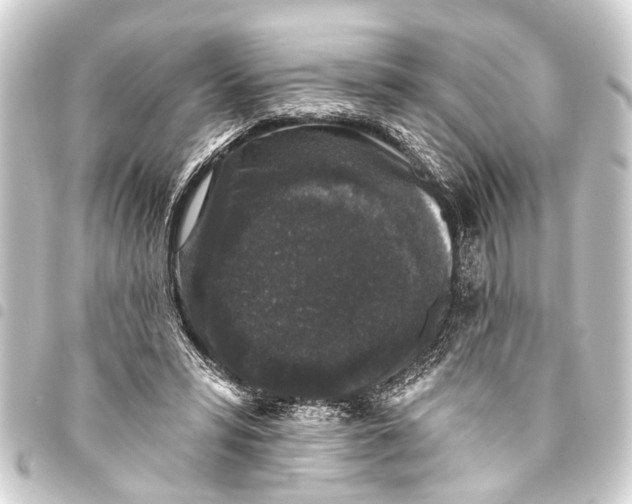 X0000093450399200711021118