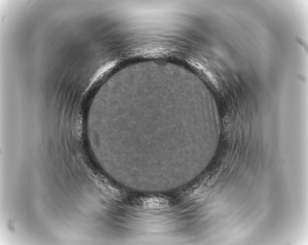 X0000093450400200711021118