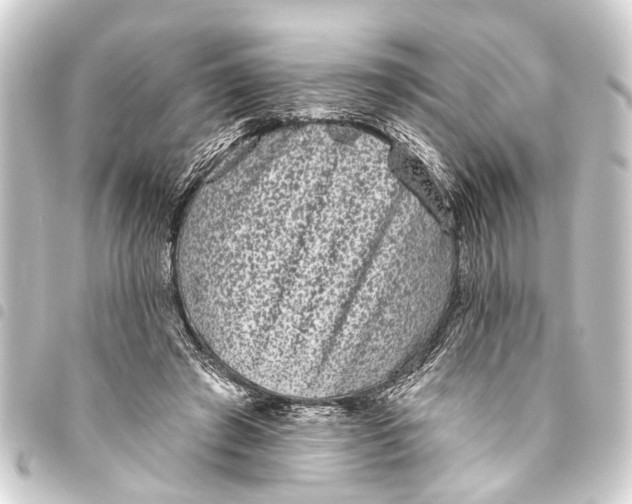 X0000093450401200711021118