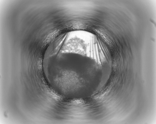 X0000093450402200711021118