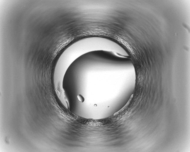 X0000093450403200711021118