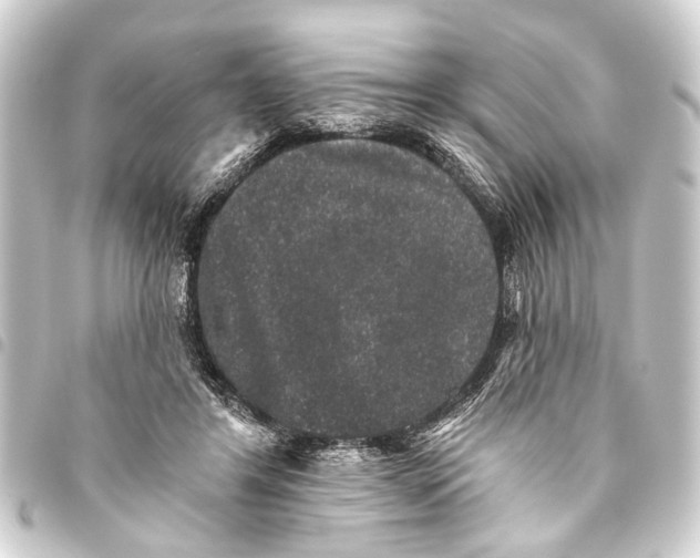 X0000093450404200711021118