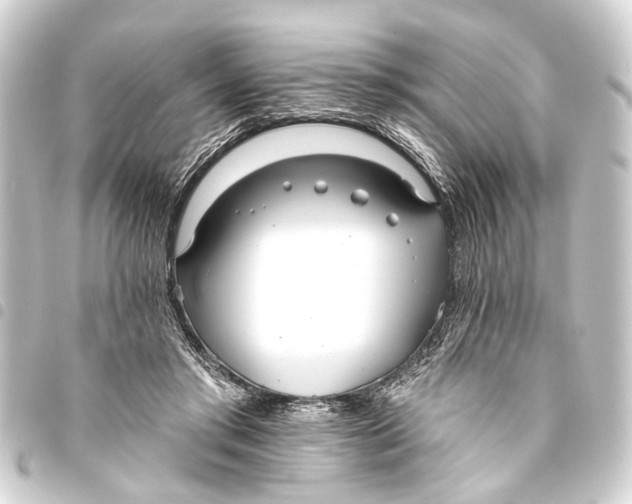 X0000093450405200711021118