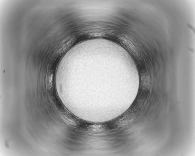 X0000093450406200711021118