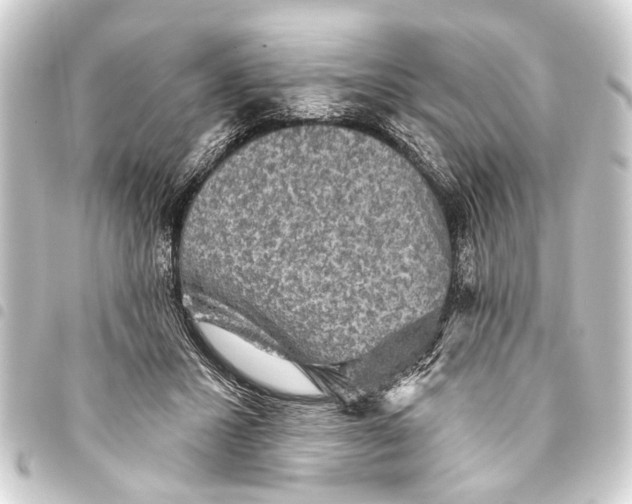 X0000093450407200711021118