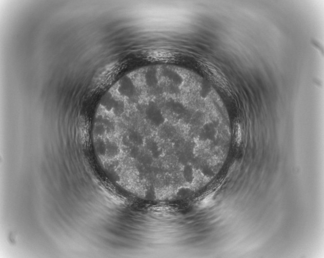 X0000093450408200711021118