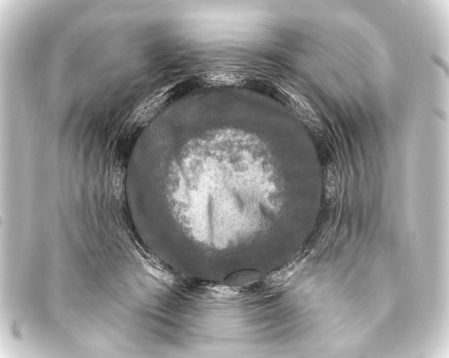 X0000093450409200711021118