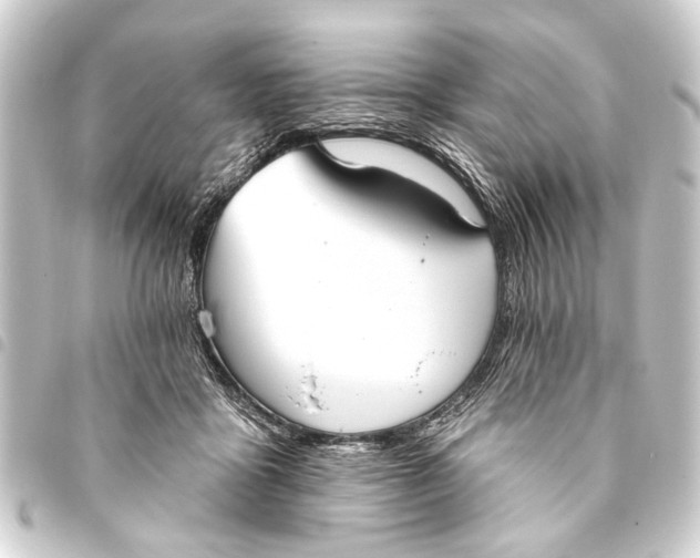 X0000093450411200711021118