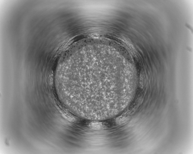 X0000093450413200711021118