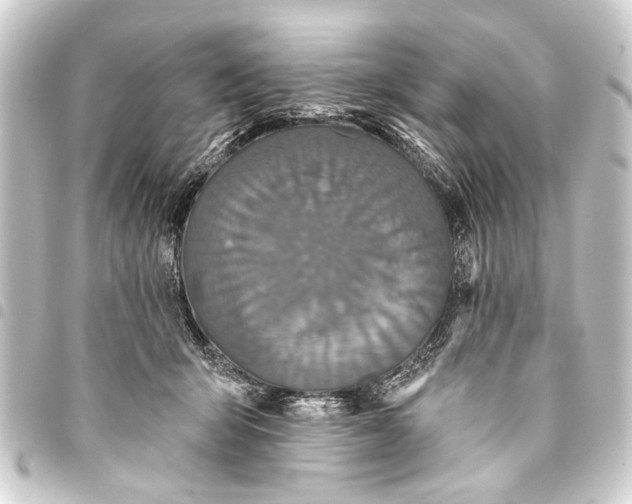 X0000093450415200711021118