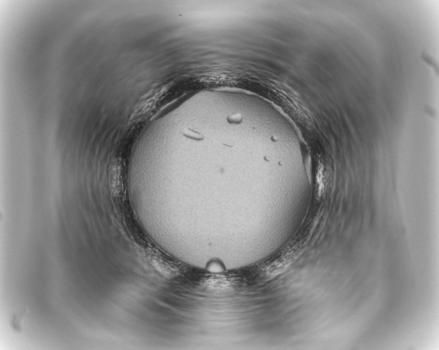 X0000093450416200711021118