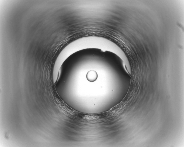 X0000093450417200711021118