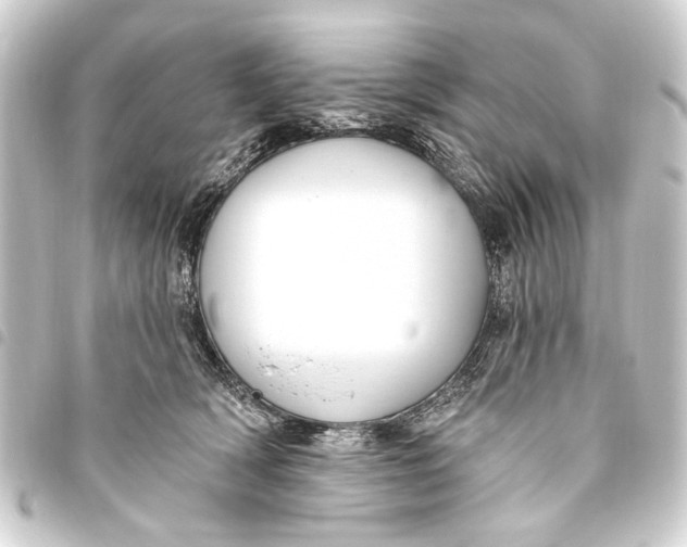 X0000093450418200711021118