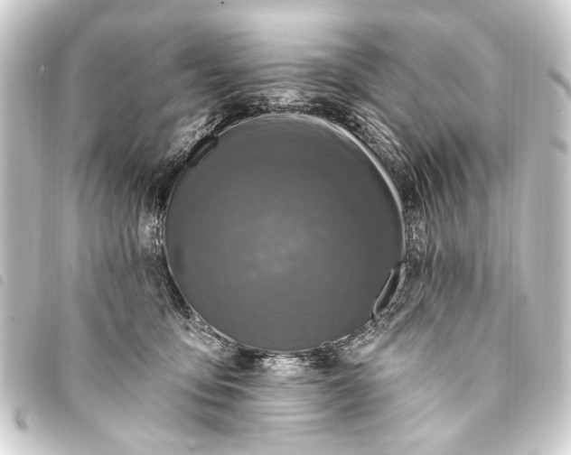 X0000093450419200711021118