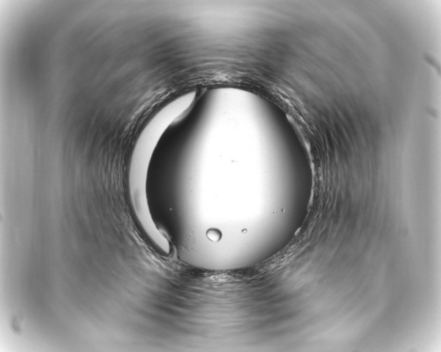 X0000093450423200711021118