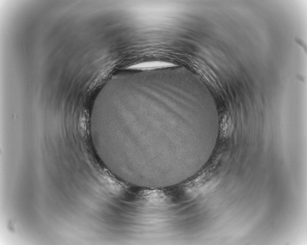 X0000093450424200711021118