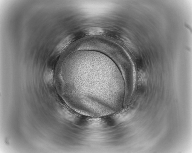 X0000093450428200711021118